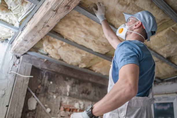 Best Insulation Installation Services in North Newton, KS